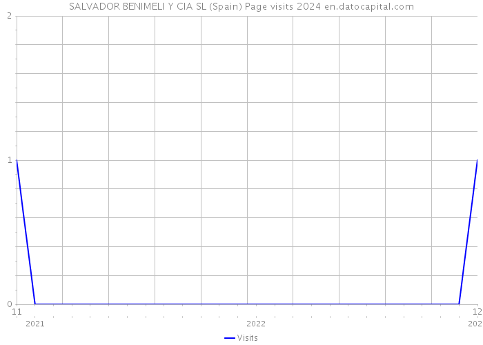 SALVADOR BENIMELI Y CIA SL (Spain) Page visits 2024 