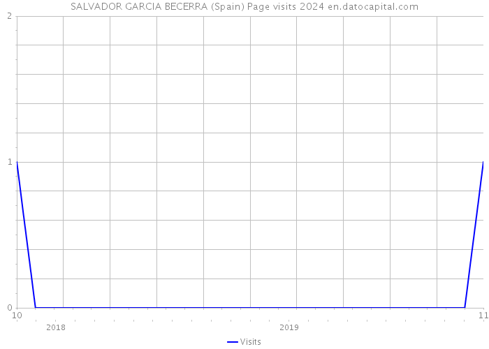 SALVADOR GARCIA BECERRA (Spain) Page visits 2024 