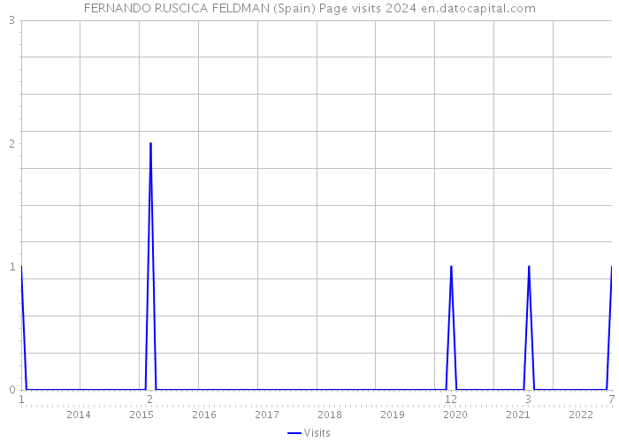 FERNANDO RUSCICA FELDMAN (Spain) Page visits 2024 