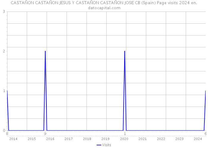 CASTAÑON CASTAÑON JESUS Y CASTAÑON CASTAÑON JOSE CB (Spain) Page visits 2024 