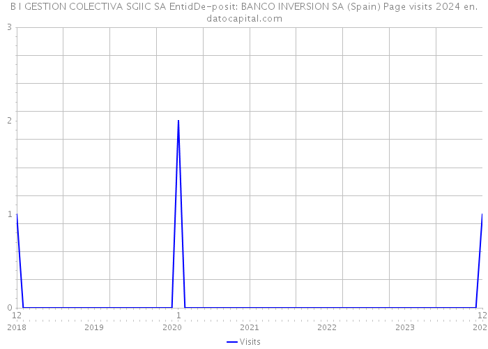 B I GESTION COLECTIVA SGIIC SA EntidDe-posit: BANCO INVERSION SA (Spain) Page visits 2024 