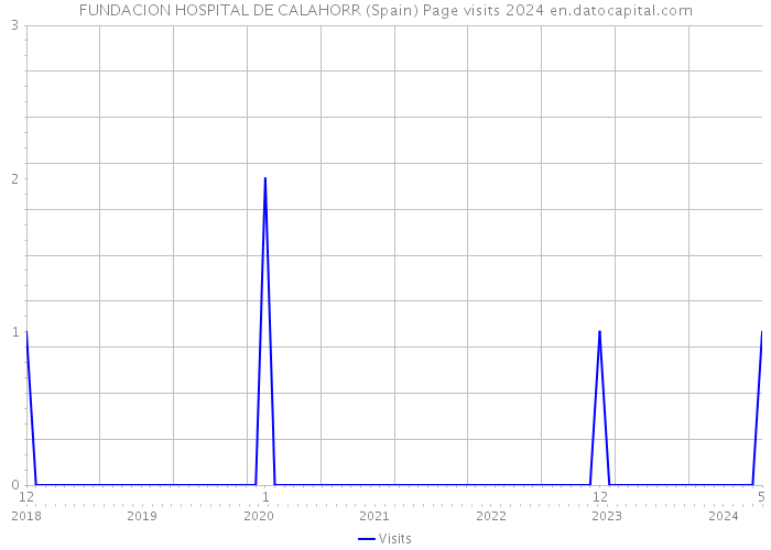 FUNDACION HOSPITAL DE CALAHORR (Spain) Page visits 2024 