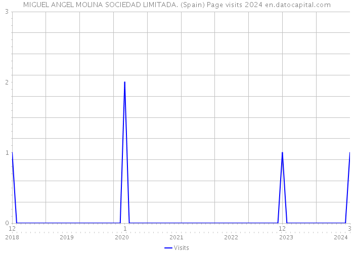 MIGUEL ANGEL MOLINA SOCIEDAD LIMITADA. (Spain) Page visits 2024 