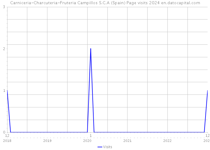Carniceria-Charcuteria-Fruteria Campillos S.C.A (Spain) Page visits 2024 