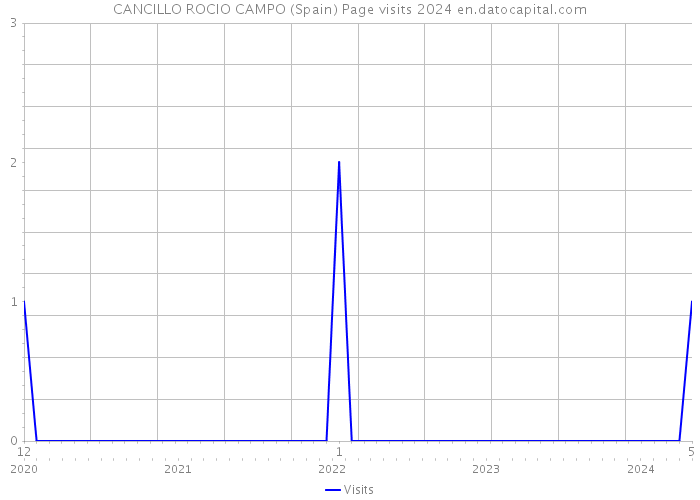 CANCILLO ROCIO CAMPO (Spain) Page visits 2024 
