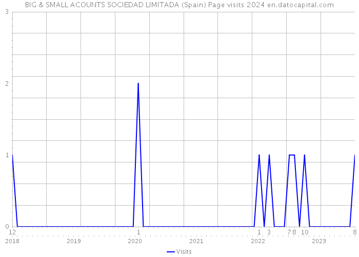 BIG & SMALL ACOUNTS SOCIEDAD LIMITADA (Spain) Page visits 2024 