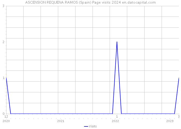 ASCENSION REQUENA RAMOS (Spain) Page visits 2024 