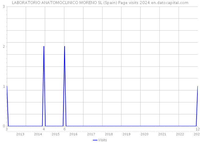 LABORATORIO ANATOMOCLINICO MORENO SL (Spain) Page visits 2024 