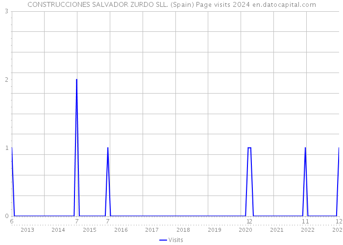 CONSTRUCCIONES SALVADOR ZURDO SLL. (Spain) Page visits 2024 