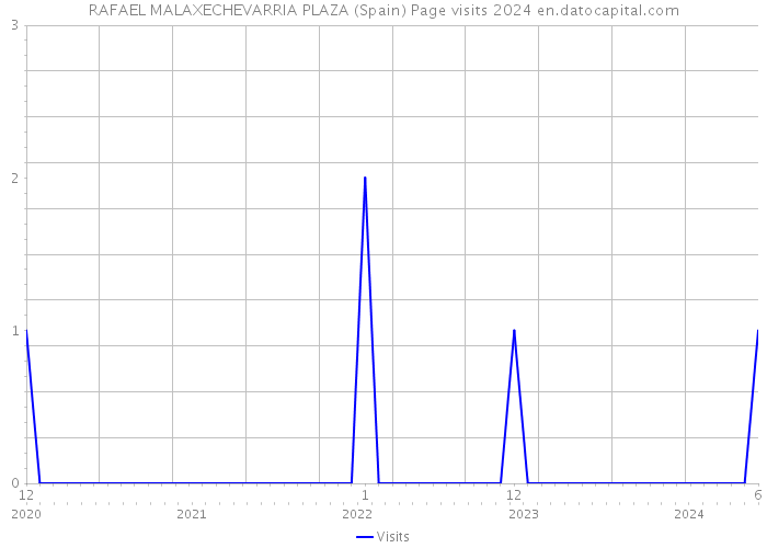 RAFAEL MALAXECHEVARRIA PLAZA (Spain) Page visits 2024 