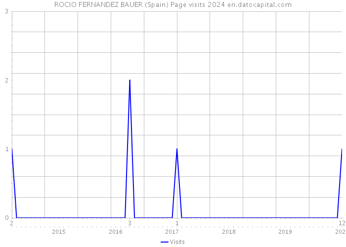 ROCIO FERNANDEZ BAUER (Spain) Page visits 2024 