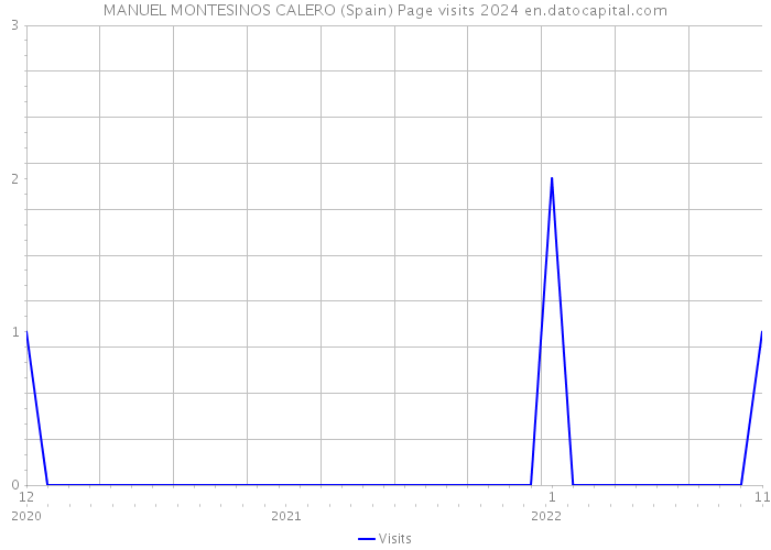 MANUEL MONTESINOS CALERO (Spain) Page visits 2024 