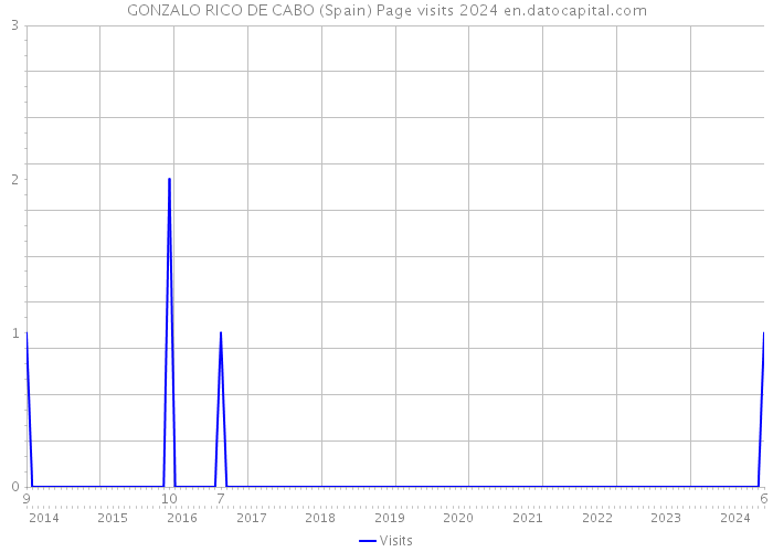 GONZALO RICO DE CABO (Spain) Page visits 2024 