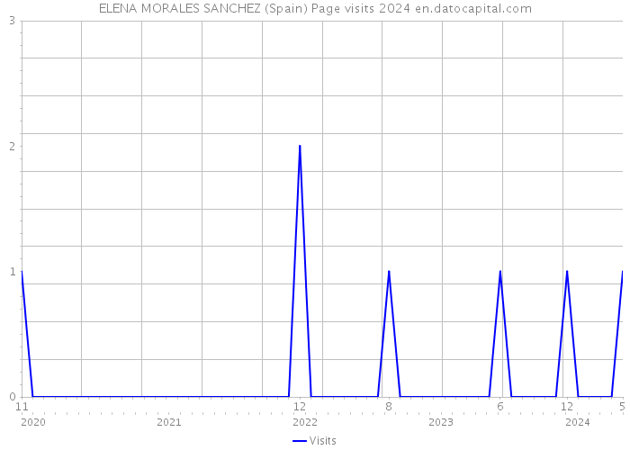 ELENA MORALES SANCHEZ (Spain) Page visits 2024 