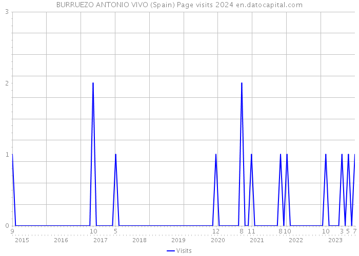 BURRUEZO ANTONIO VIVO (Spain) Page visits 2024 
