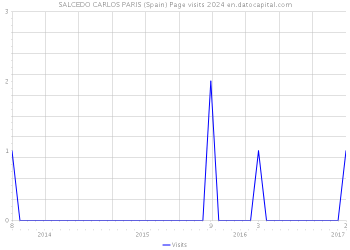 SALCEDO CARLOS PARIS (Spain) Page visits 2024 