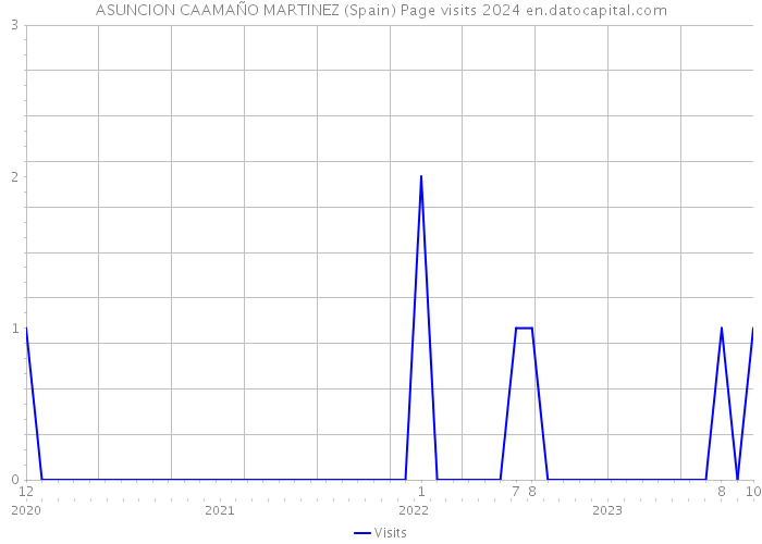 ASUNCION CAAMAÑO MARTINEZ (Spain) Page visits 2024 
