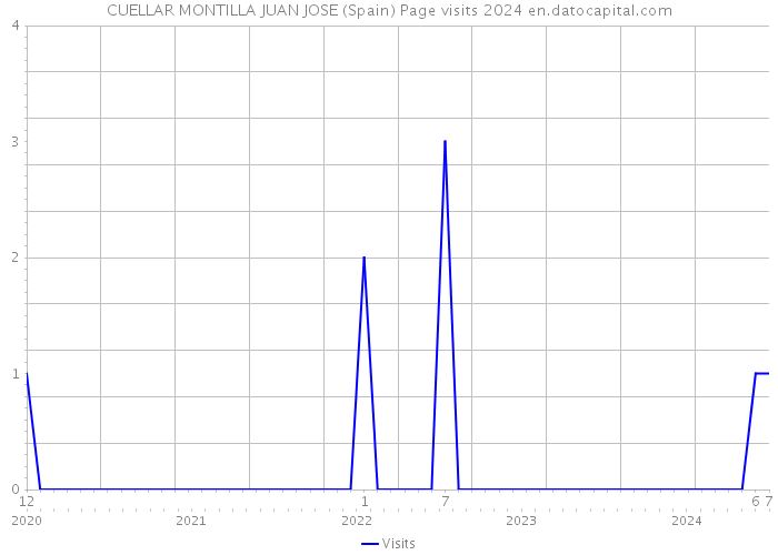 CUELLAR MONTILLA JUAN JOSE (Spain) Page visits 2024 