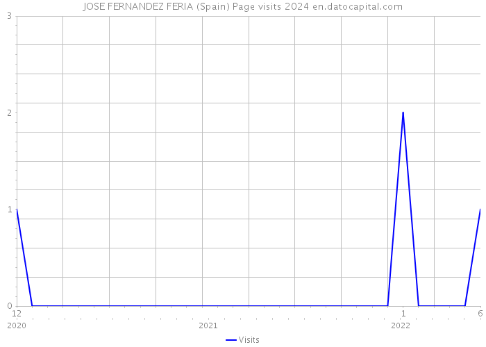 JOSE FERNANDEZ FERIA (Spain) Page visits 2024 