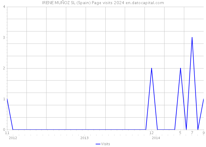 IRENE MUÑOZ SL (Spain) Page visits 2024 