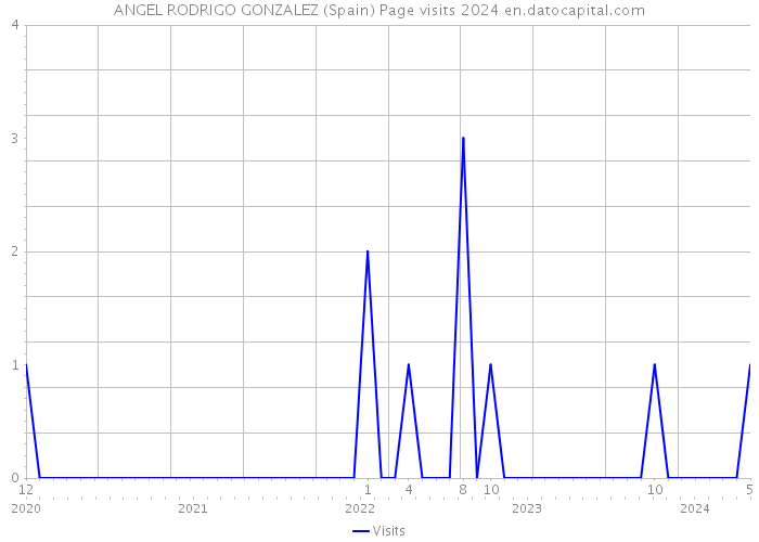 ANGEL RODRIGO GONZALEZ (Spain) Page visits 2024 