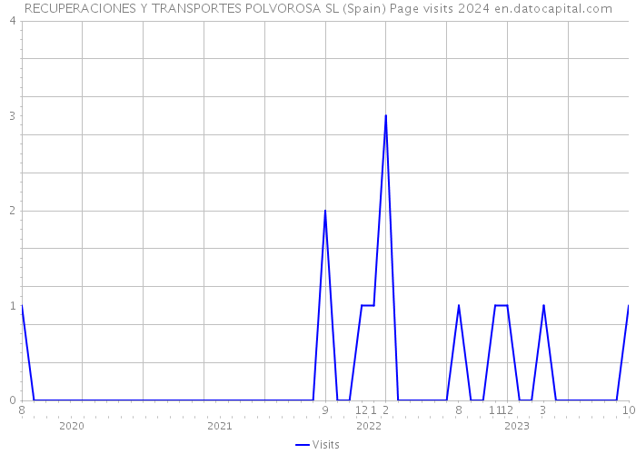 RECUPERACIONES Y TRANSPORTES POLVOROSA SL (Spain) Page visits 2024 