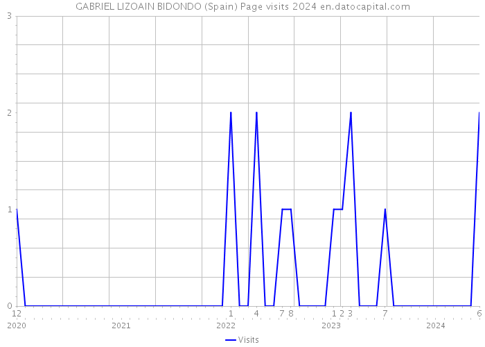 GABRIEL LIZOAIN BIDONDO (Spain) Page visits 2024 