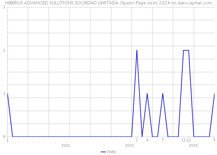 HIBERUS ADVANCED SOLUTIONS SOCIEDAD LIMITADA (Spain) Page visits 2024 