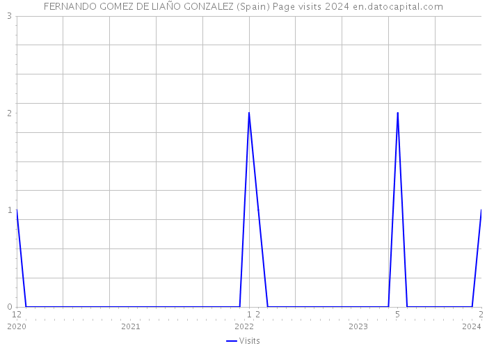 FERNANDO GOMEZ DE LIAÑO GONZALEZ (Spain) Page visits 2024 
