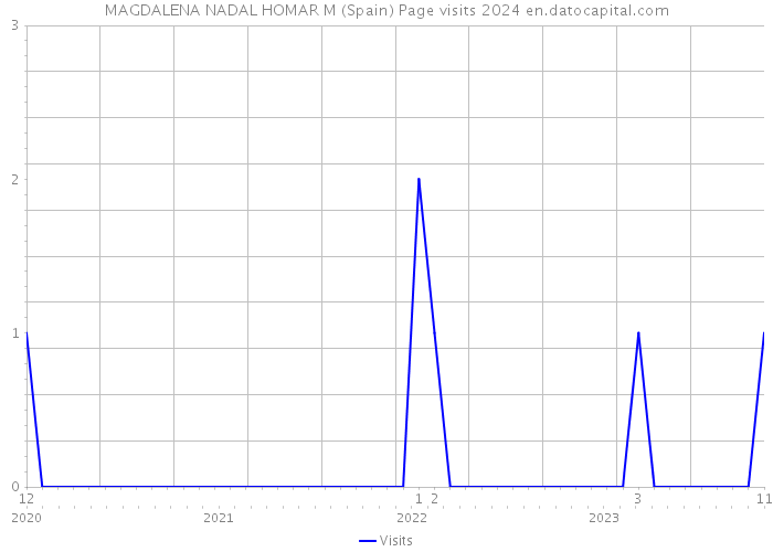 MAGDALENA NADAL HOMAR M (Spain) Page visits 2024 