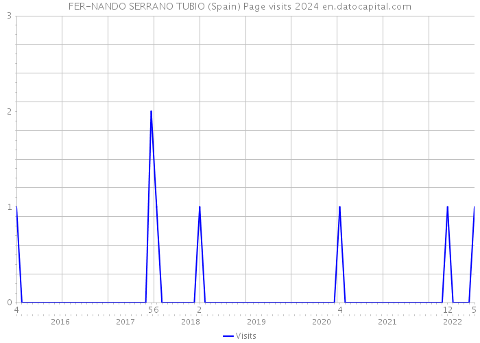 FER-NANDO SERRANO TUBIO (Spain) Page visits 2024 