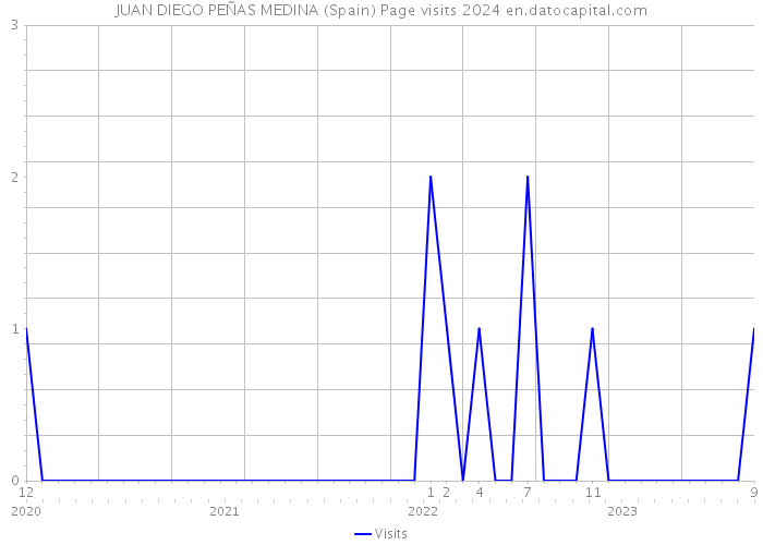 JUAN DIEGO PEÑAS MEDINA (Spain) Page visits 2024 