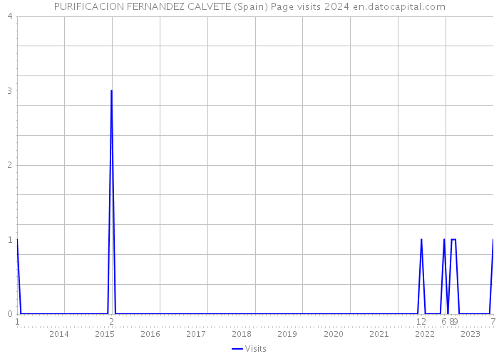 PURIFICACION FERNANDEZ CALVETE (Spain) Page visits 2024 
