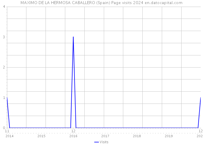 MAXIMO DE LA HERMOSA CABALLERO (Spain) Page visits 2024 