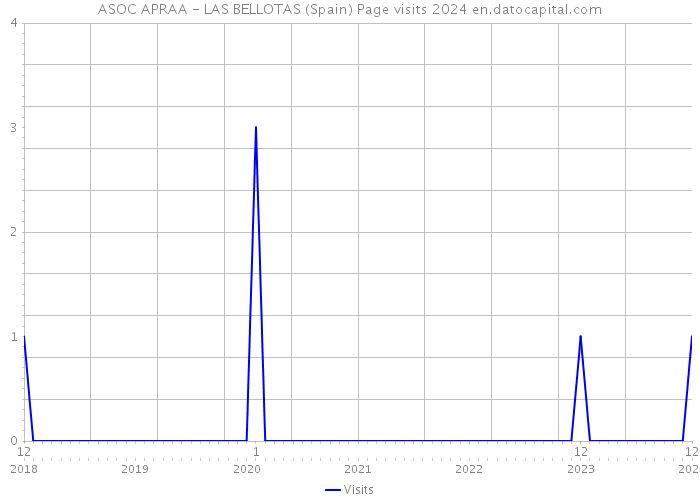 ASOC APRAA - LAS BELLOTAS (Spain) Page visits 2024 