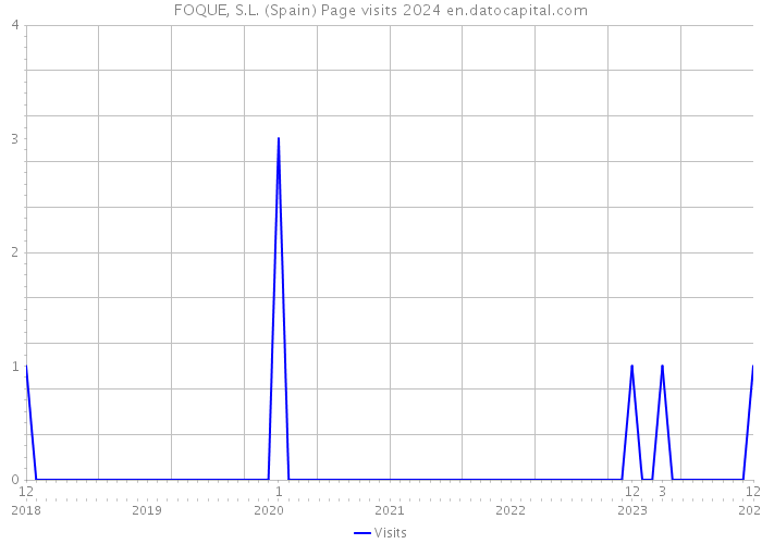 FOQUE, S.L. (Spain) Page visits 2024 