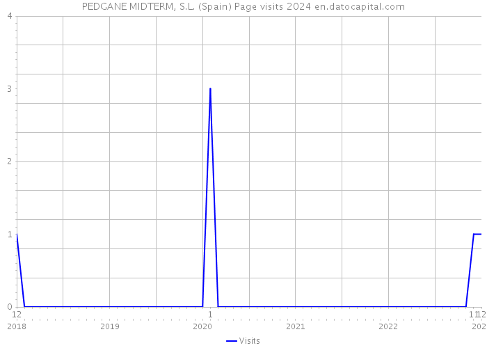 PEDGANE MIDTERM, S.L. (Spain) Page visits 2024 