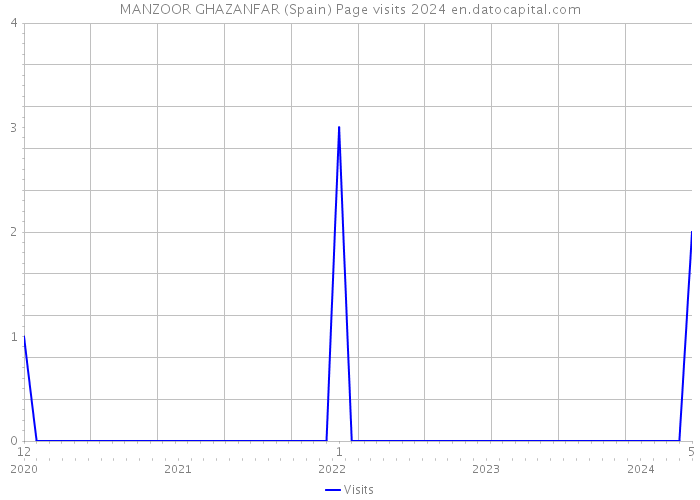 MANZOOR GHAZANFAR (Spain) Page visits 2024 