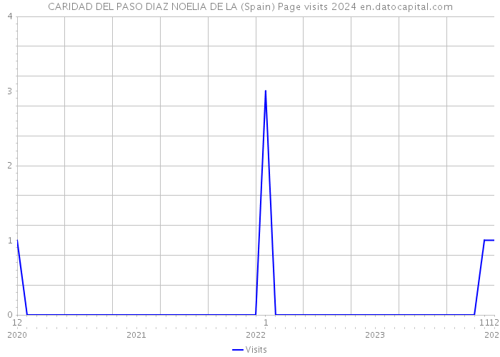 CARIDAD DEL PASO DIAZ NOELIA DE LA (Spain) Page visits 2024 