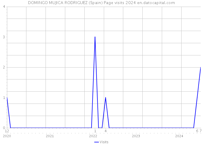 DOMINGO MUJICA RODRIGUEZ (Spain) Page visits 2024 