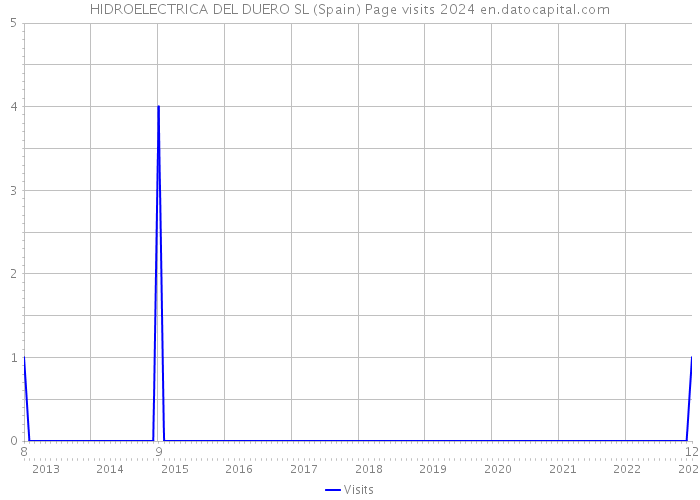 HIDROELECTRICA DEL DUERO SL (Spain) Page visits 2024 
