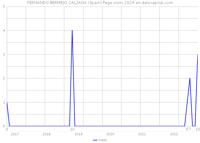 FERNANDO BERMEJO CALZADA (Spain) Page visits 2024 