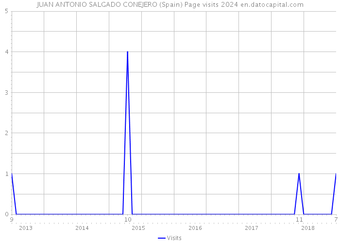 JUAN ANTONIO SALGADO CONEJERO (Spain) Page visits 2024 