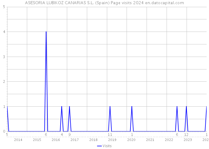 ASESORIA LUBIKOZ CANARIAS S.L. (Spain) Page visits 2024 