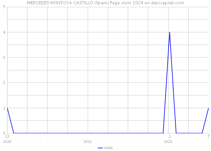 MERCEDES MONTOYA CASTILLO (Spain) Page visits 2024 