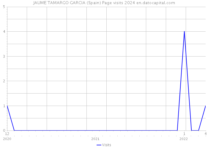 JAUME TAMARGO GARCIA (Spain) Page visits 2024 