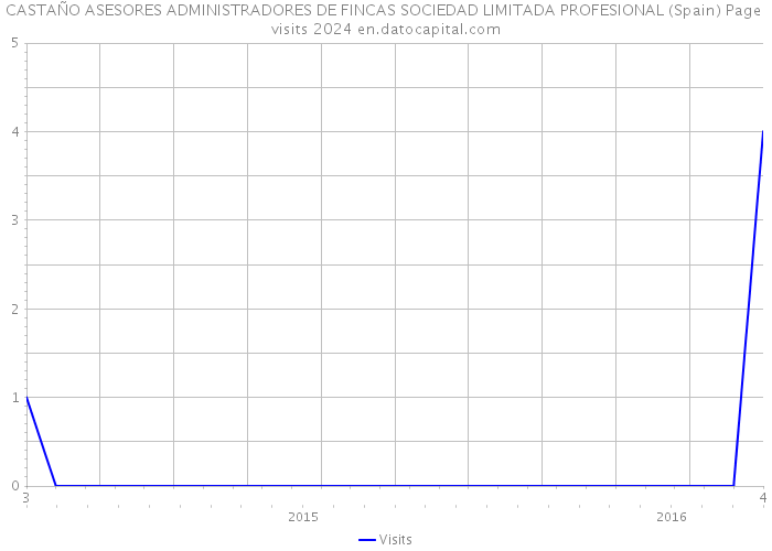 CASTAÑO ASESORES ADMINISTRADORES DE FINCAS SOCIEDAD LIMITADA PROFESIONAL (Spain) Page visits 2024 