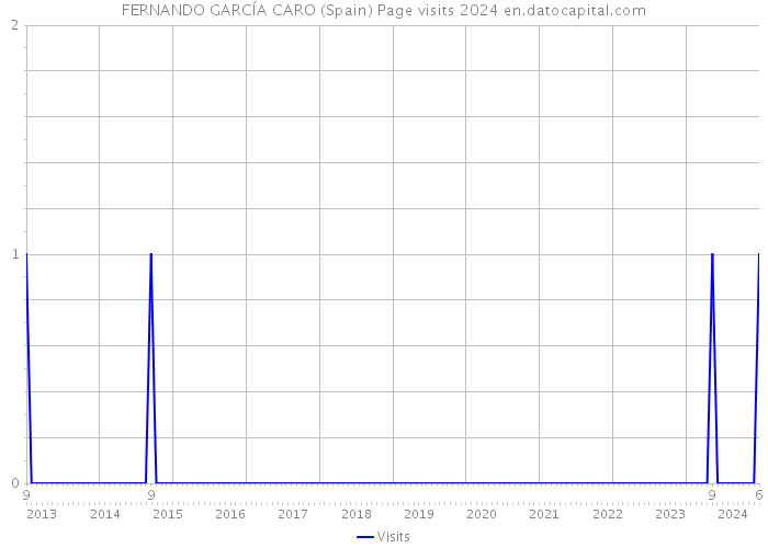 FERNANDO GARCÍA CARO (Spain) Page visits 2024 