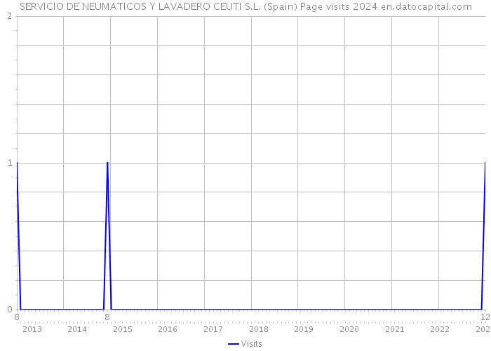 SERVICIO DE NEUMATICOS Y LAVADERO CEUTI S.L. (Spain) Page visits 2024 