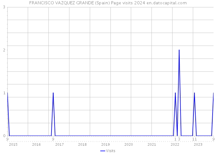 FRANCISCO VAZQUEZ GRANDE (Spain) Page visits 2024 